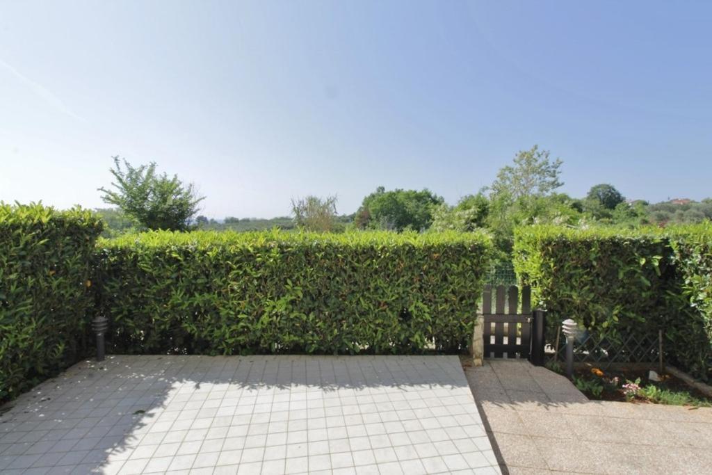 Apartmán Biljana Savudrija Exteriér fotografie